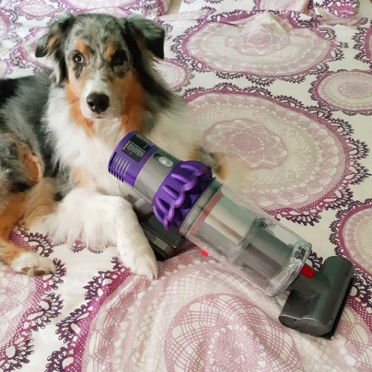fm-dyson-v10-02-768×768